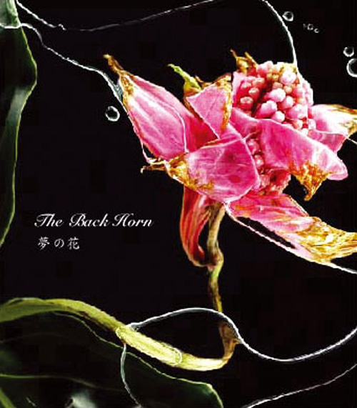 8th Single 夢の花